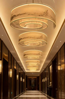 Lustre de plafond en ruban personnalisé, bande lumineuse LED, peinture décorative douce, éclairage artistique pour restaurant, hall d'hôtel