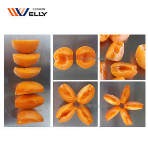 Facile à utiliser Plum Decor Cherry Corer Olive Core Abricot Stone Remove Fruit Pitting Machine - Product Image 6