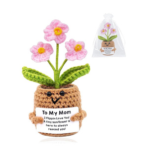 <span class=keywords><strong>Handmade</strong></span> Crochet hoa cảm xúc thực vật tích cực Crochet chậu mới Cảm ơn bạn quà tặng cho phụ nữ Ông Chủ Đồng Nghiệp Quản Lý y tá mẹ - Product Image 6