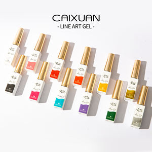 Caixuan-delineador de Gel de pintura, conjunto de 24 colores, logotipo personalizado, nuevo - Product Image 3