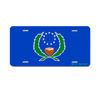 Plaques d'immatriculation personnalisées avec drapeau du Nigéria, plaque d'immatriculation nationale personnalisée, souvenir du pays, cadeau, plaque décorative