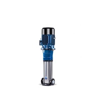 Pompes à Eau Verticales CNP Économiques et Domestiques avec Moteur