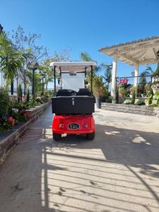 Voiturette de golf électrique puissante à 4 roues, deux places, avec plancher antidérapant, autonomie de 30-50 km, idéale pour le transport en station balnéaire - Product Image 4