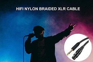 6FT HIFI 6.35Mm <span class=keywords><strong>1</strong></span>/<span class=keywords><strong>4</strong></span> TS Cáp MONO Đến XLR Cáp Âm Thanh Mạ Vàng OFC Mono Cắm Vào Cáp Chuyển Đổi Âm Thanh Nổi - Product Image 5