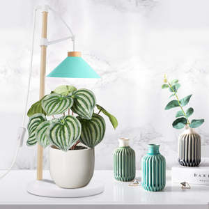 Kit de culture de <span class=keywords><strong>cactus</strong></span> avec lampe de table à base en bois réglable en hauteur J&C Minigarden 9w, kit de démarrage de jardin d'herbes écologique - Product Image 6