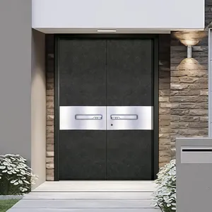 Exterior Front Main Entry Solid Core Design Modern Flush Double Swing Door Designs