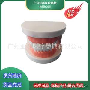 Modelo de Enseñanza de Cepillado de Dientes para Jardín de Infancia con Caja de Empaque, Kit de Demostración Educativa - Product Image 5