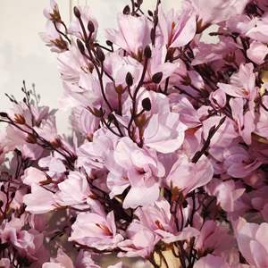 Arbre artificiel de <span class=keywords><strong>magnolia</strong></span> à <span class=keywords><strong>prix</strong></span> d'usine en gros, décoration de centre de table de mariage, extérieur, Noël, durable, écologique - Product Image 2