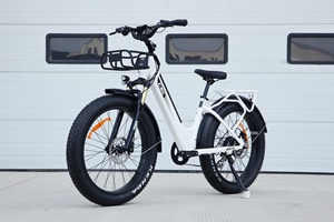 <span class=keywords><strong>Oferta</strong></span> Especial 48V Fat tire City <span class=keywords><strong>ebike</strong></span> 14ah 26 pulgadas Kenda Fat tire electrica bicicleta 750W step through electric City bike - Product Image 5