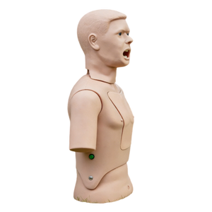 Modèle anatomique avancé en PVC pour écouvillon nasopharyngé, destiné à la formation des étudiants en médecine - Product Image 2