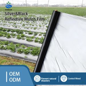 <span class=keywords><strong>Film</strong></span> agricole transparent <span class=keywords><strong>noir</strong></span> personnalisable, <span class=keywords><strong>film</strong></span> de paillage anti-UV, <span class=keywords><strong>film</strong></span> de paillage en <span class=keywords><strong>plastique</strong></span> pour contrôler les herbes, pour ferme, jardin, serre - Product Image 5