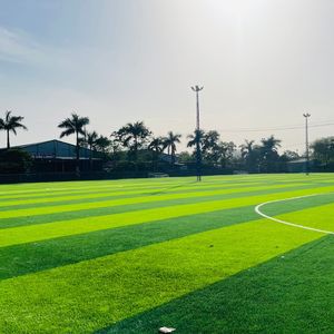 หญ้าเทียมสำหรั<span class=keywords><strong>บ</strong></span>สนามฟุตบอล AVG Free Filling สำหรับ 5 คน ความหนา 30 มม. แบ<span class=keywords><strong>บ</strong></span>เส้นโค้งงอเป็นธรรมชาติ ไม่มีทิศทาง - Product Image 3