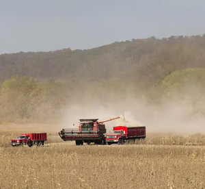 Moissonneuse-batteuse multifonctionnelle pour céréales, machine à couper le blé - Product Image 3