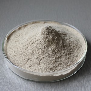Poudre d'<span class=keywords><strong>enzymes</strong></span> <span class=keywords><strong>pancréatiques</strong></span> en vrac : Pancréatine, Lipase, Amylase, Protéase – Fournisseur d'additifs alimentaires enzymatiques - Product Image 1