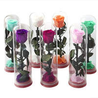 Rose éternelle préservée sous cloche en verre avec tige – Fleurs naturelles pour la Saint-Valentin et les remises de diplômes