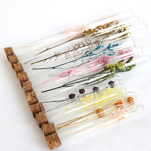 Flores Secas Naturales Delicadas Personalizadas en Tubo, Decoración Novedosa para el Hogar, Regalos para Halloween, Día de la Madre, Bodas, Invitados - Product Image 3