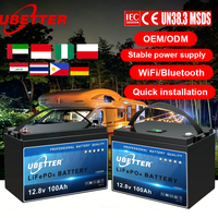 Batterie LiFePO4 12V 24V à cycle long 50Ah 100Ah 200Ah étanche IP65 pour voiturette de golf électrique, camping-car et applications marines – Stock UE Nigéria