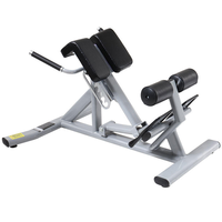 Chaise romaine d'hyperextension pour le bas du dos, équipement d'exercice professionnel avec capacité de charge de 300 kg, machine d'extension dorsale