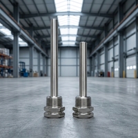 Capteur de température Siemens QAE avec sonde en acier inoxydable 304, profondeur d'insertion non standard, filetage personnalisé, Chine continentale