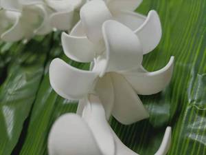 Groothandel Fabriek Leverancier HL0046A 2 Kleuren 100 Cm Foam Puakenikeni Lei Hawaiian Dance Party Vrouwen Ketting Bloemen Hula Meisje - Product Image 6