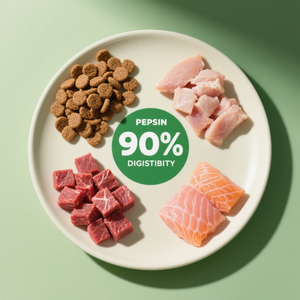 מזון יבש חלבון יבש מזון מזון בריא וטבעי מחמד מיצרנים בעלי מוניטין - Product Image 6