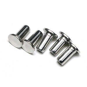 Trung Quốc tùy chỉnh làm bằng thép không gỉ 304 và 316 đinh tán bước Rắn Đầu Phẳng cho các mẫu được áp dụng trong công nghiệp - Product Image 4