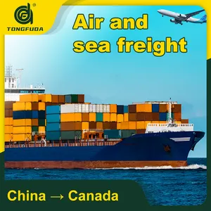 광동 선전 중국 항공화물 및 캐나다 해상화물 캐나다화물 운송 업체로 활동