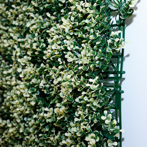Pared verde de imitación botánica de alta calidad 100% Artificial para pared de fondo Tecnología táctil real Plástico con flor - Product Image 2