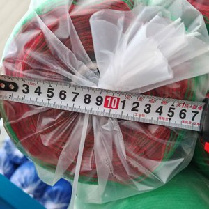 <span class=keywords><strong>Filet</strong></span> en plastique de Protection contre le <span class=keywords><strong>vent</strong></span> de fourmi de haute qualité pour la Protection des plantes <span class=keywords><strong>filet</strong></span> d'oiseau <span class=keywords><strong>agricole</strong></span> en gros - Product Image 3