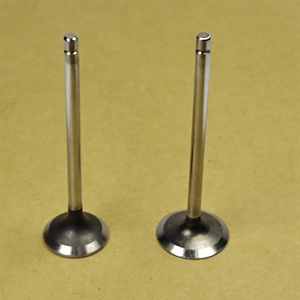 BD30 ed30 td27 TD42 van xả động cơ cho phụ tùng xe hơi Nhật Bản 13201-43g01 van nạp 13202-g2403 van xả - Product Image 3