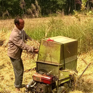 Hot Bán Lúa Gạo Lúa Mì Tuốt Lúa Với Giá Nhà Máy - Product Image 5