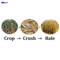 Mini-presse à balles pour foin d'alfalfa, ensileuse et presse à balles compacte pour maïs, ensileuse et presse à balles pour riz et paille de pin à vendre