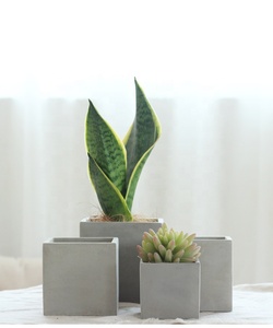 Nordico stile semplice decorazione da tavolo per interni forma quadrata fioriera <span class=keywords><strong>cemento</strong></span> piante succulente <span class=keywords><strong>vasi</strong></span> con foro - Product Image 4