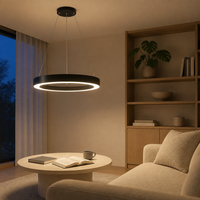 Lustre suspendu en acier à cercle central, 20W 40W 60W, luminaire LED linéaire rond