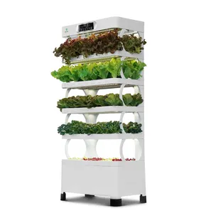 vertical cultivation growing herbs indoors hydroponic system agriculture tower planter for lettuce