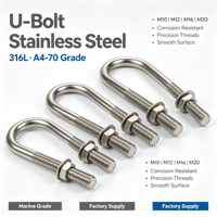 Étrier en U en acier inoxydable 316L classe 8.8 galvanisé à chaud M10 M12 M16 M20, résistant à la corrosion, pour applications marines et industrielles