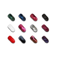 Peinture de retouche automobile professionnelle haute performance - Revêtement liquide acrylique transparent pour voiture