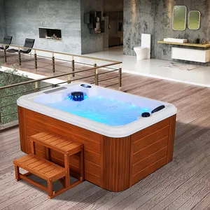Balboa-bañera de hidromasaje de 110 voltios para 2 personas, bañera de hidromasaje para patio trasero, hoteles, habitación