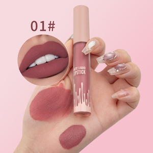 أحمر شفاه مخصص جديد يدوم طويلاً ماركة صبغة شفاه مثيرة أحمر شفاه غير لامع عارية أطقم أحمر شفاه مستحضرات تجميل مقاومة للماء غير لامع - Product Image 3
