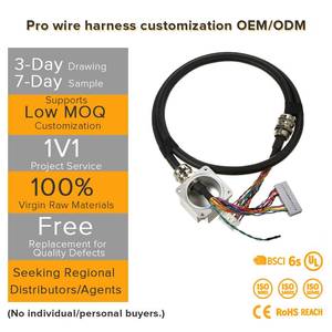 ชุดสายไฟทองแดง PVC/PBT แบบกันน้ำ ทนทาน พร้อมขั้วต่ออะแดปเตอร์ไนลอน ปรับแต่งได้สำหรับอุปกรณ์อุตสาหกรรม - Product Image 1