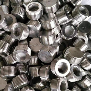 SS304 thép không gỉ NPT PT g 1/8 inch đến 2 inch phụ kiện đường ống M8 để M33 Hex ổ cắm đầu ống cắm - Product Image 6