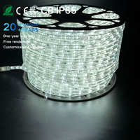 Fournisseur en gros de guirlandes LED rondes à double ligne IP65 résistantes à la neige de 13 mm, 220 V, RGB blanc chaud pour l'éclairage des parcs d'attractions et des fêtes