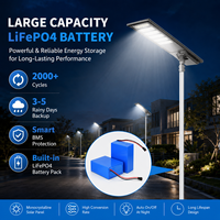 Farola LED Solar AC/DC, Certificación IP66, CCC, RoHS, CE, 30W, Uso en Carreteras, Batería DC LiFePo4, Ra80, Regulable, Garantía de 5 Años