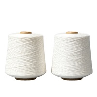 Fil mélangé 100% polyester haute ténacité, écologique, certifié OEKO, filé à anneaux 40/2 50/2 pour le tissage, le tricotage, la couture et la broderie