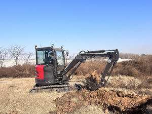 Escavadora <span class=keywords><strong>Mini</strong></span> <span class=keywords><strong>Rhinoceros</strong></span> XN35 de 3,5 Toneladas - Product Image 2