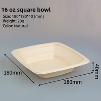 Saladier carré de canne à sucre jetable biodégradable 24oz 32oz 40oz