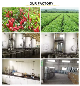 Venta al por mayor 100% orgánico prensado en frío aceite de neem granelero aceite de neem para la Agricultura - Product Image 2