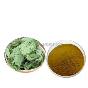 医薬品グレード桑葉エキス粉末安全ハーブ薬アクティブポリフェノールドラム包装中国工場供給 - Product Image 1