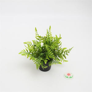 หญ้าเทียมตกแต่งผนังกระถางหญ้าเฟิร์นหยิบกุหลาบเทียมอุปกรณ์ตกแต่งบ้านหญ้าเทียม - Product Image 1