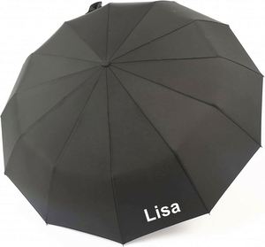 Paraguas Automático Personalizado con Logotipo, Resistente al Viento, Protección UV, Alta Calidad, Precio Bajo, Venta al Por Mayor de Fábrica - Product Image 2
